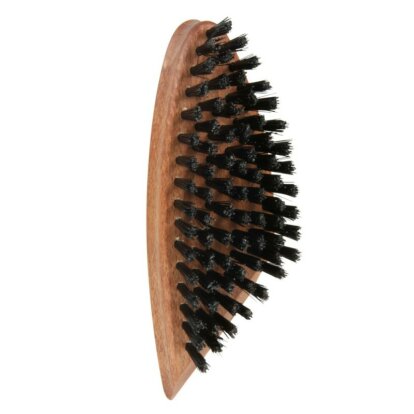 Brush Cleaning Woly Black Sythetic with scrapping edge